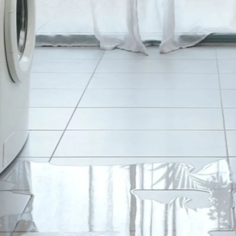 Appliance Leak Cleanup in Fairmont, NC