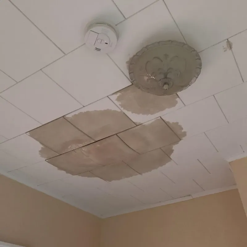 Ceiling Water Damage Repair in Fairmont, NC