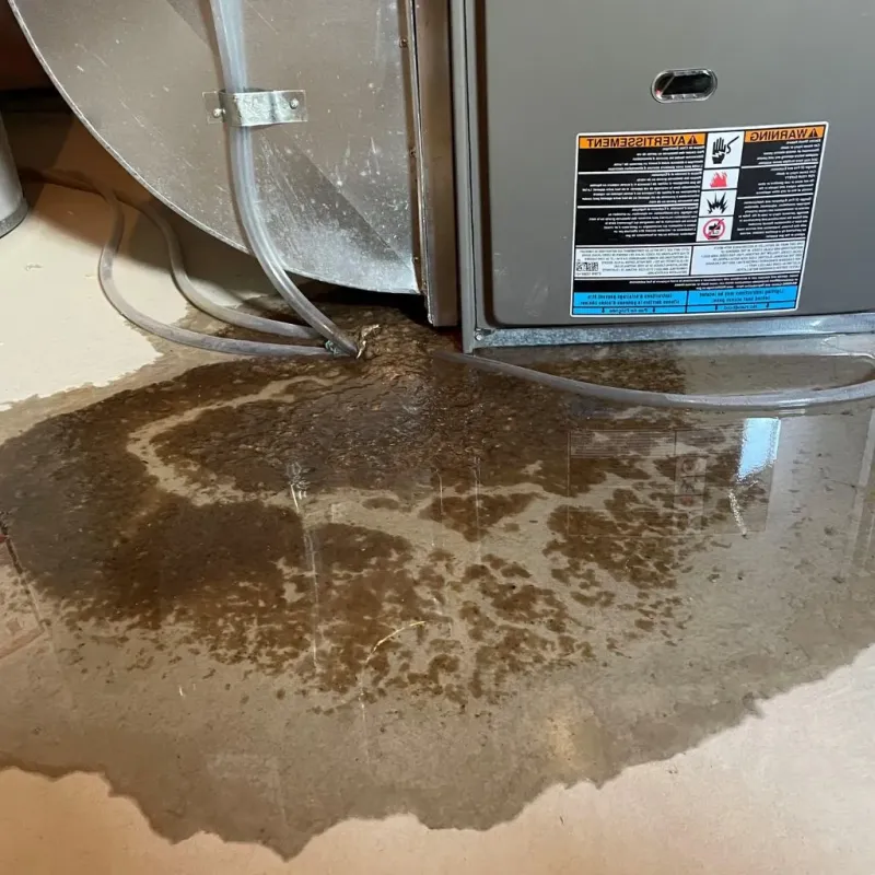 Pipe Burst and Leak Restoration in Fairmont, NC