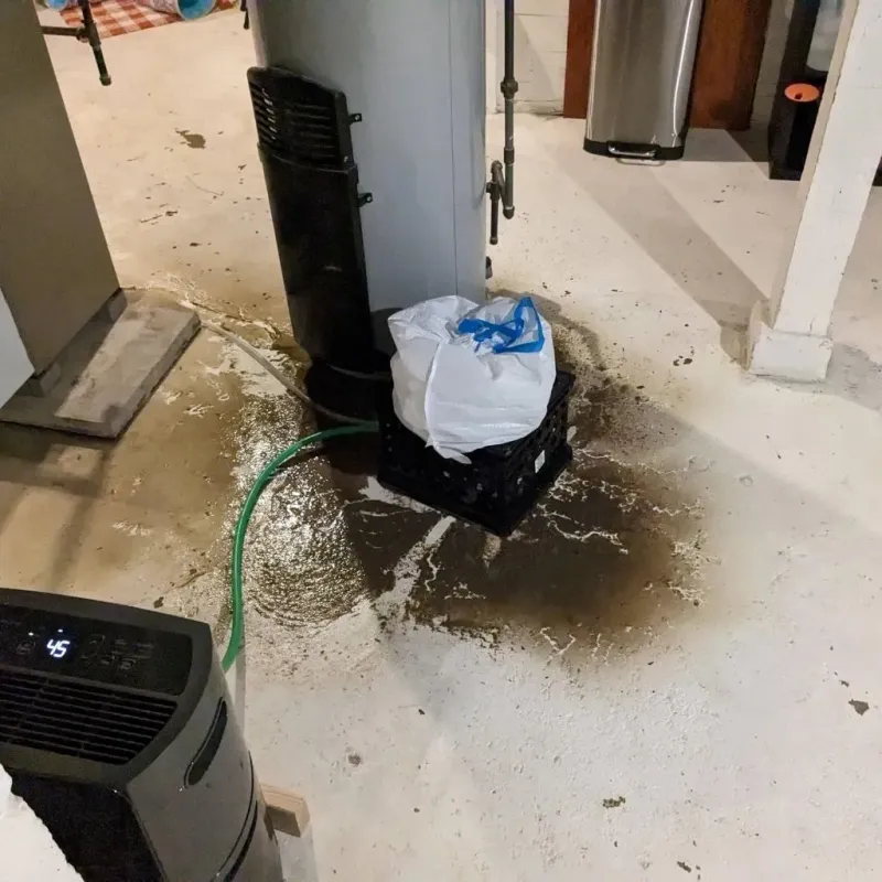 Sewage Backup Cleanup Service in Fairmont, NC